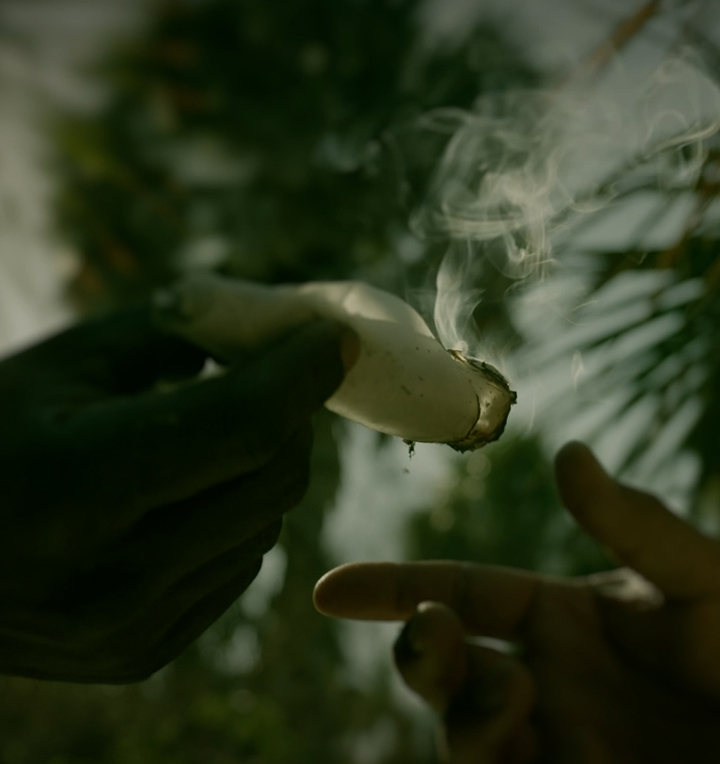 The Pirates of Pinellas County